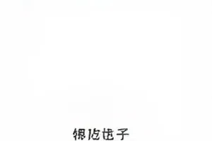 《南风拾遗》收官当天播放数据曲线与公开通报的对照